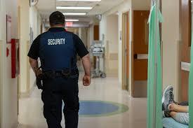 Do-Vet-Hospitals-Have-Security-Guards