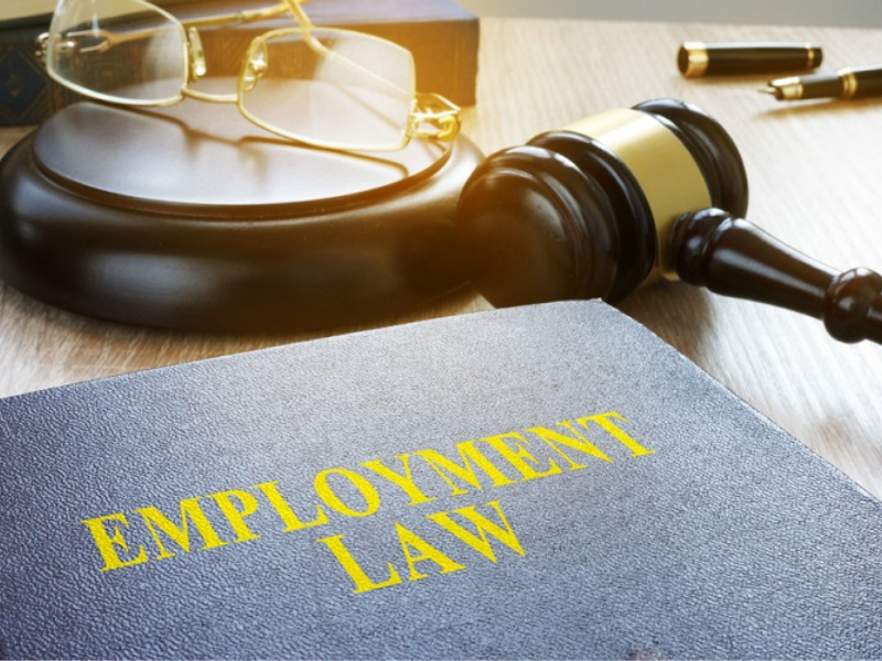 Employment  Regulations 