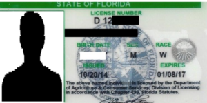 Security License Florida