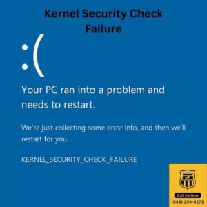 Kernel Security Check Failure