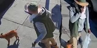 Machete-Wielding Suspect Charged in Fatal Hit-and-Run