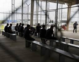 Deaths in Immigration Detention Hit 22-Year High
