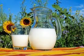 Raw Milk Debate Grows Amid U.S. Health Concerns