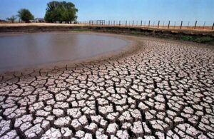 Texas-Lake-Tragedy-Highlights-Hidden-Water-Dangers